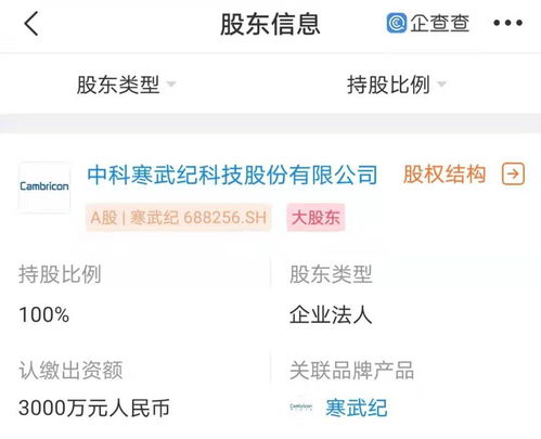 寒武紀南京新公司成立，強化人工智能軟件開發(fā)布局
